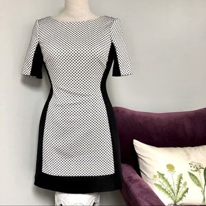 BCBG Paris black and white dress mini size 2.
